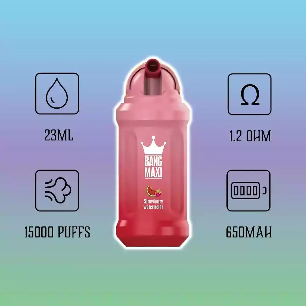 BANG 15000 Puffs Premium Disposable Vape with 5% Nicotine and 1.2ohm Resistance (4) BANG 15000 Puffs Premium Disposable Vape with 5% Nicotine and 1.2ohm Resistance (4)