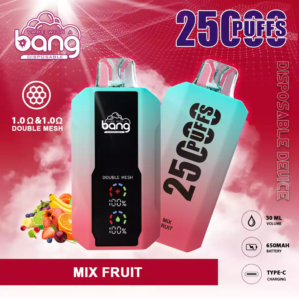 BANG 25000 Puffs Full Screen Trendy Disposable Vape with 12 Delicious Flavors and Type C Recharge
