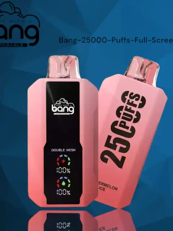 BANG 25000 Puffs Full Screen Trendy Disposable Vape with 12 Delicious Flavors and Type C Recharge