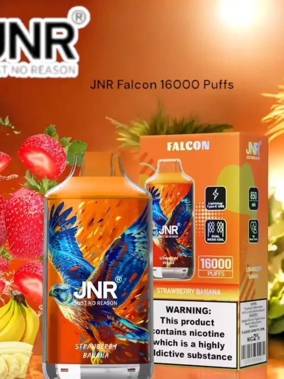 JNR Falcon 16000 Puffs Rechargeable Type C Battery & Liquid Disposable Vape