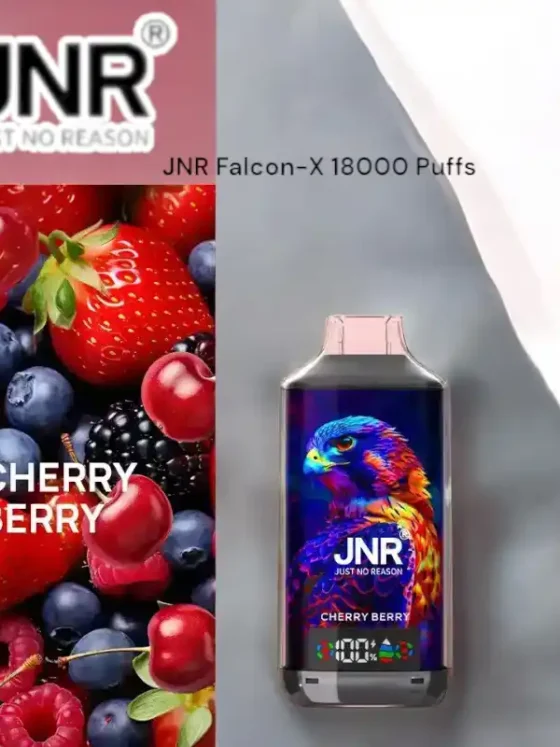 JNR Falcon-X 18000 Puffs Rechargeable Type-C Battery & Liquid Disposable Vape