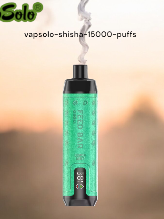 VAPSOLO Shisha 15000 Puffs The Perfect Rechargeable Vape for Fruit Lovers and Menthol Fans