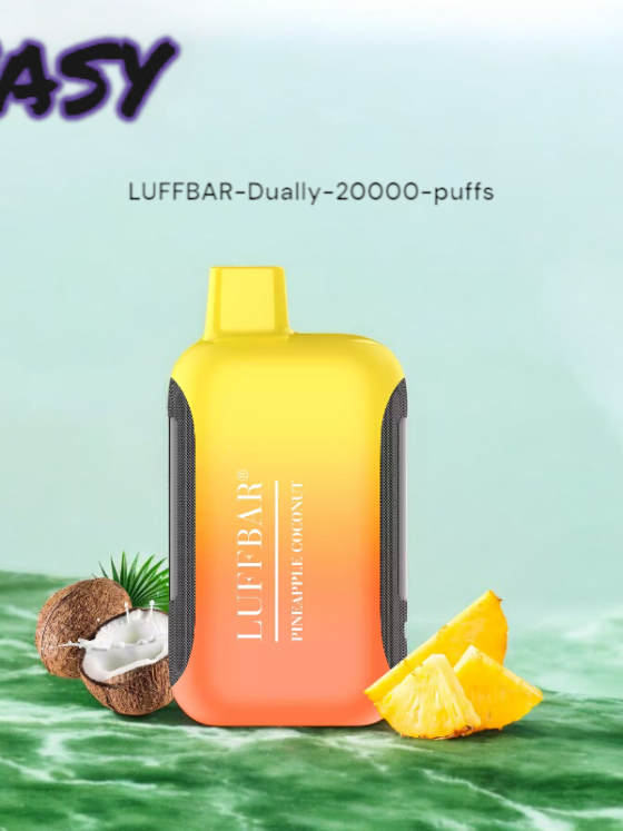 VASY LUFFBAR Dually 20000 Puffs A Rechargeable Vape with 14 Flavors