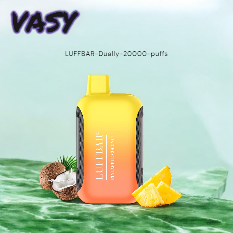 VASY LUFFBAR Dually 20000 Puffs A Rechargeable Vape with 14 Flavors VASY LUFFBAR Dually 20000 Puffs A Rechargeable Vape with 14 Flavors