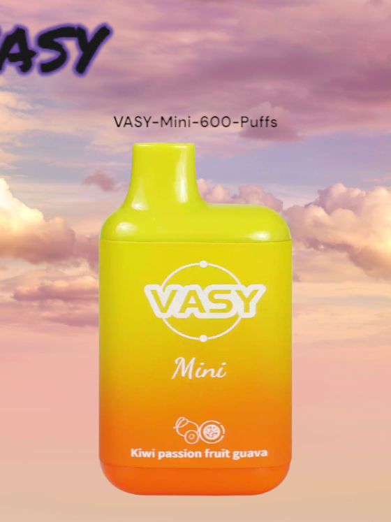 VASY Mini 600 Puffs Rechargeable Vape Alternative with 15 Irresistible Flavors