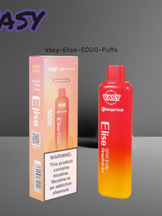 Vasy Elise 5000 Puffs The Highly Popular Disposable Vape with 12 Flavor Options and Mesh Coil