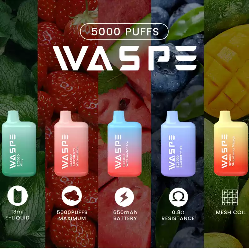 WASPE 5000 Puffs 13ml Capacity 5 Nicotine Strengths and 10 Delicious Flavors in One Disposable Vape (2) WASPE 5000 Puffs 13ml Capacity 5 Nicotine Strengths and 10 Delicious Flavors in One Disposable Vape (2)
