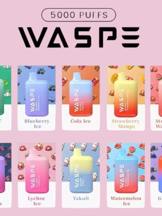 WASPE 5000 Puffs 13ml Capacity 5 Nicotine Strengths and 10 Delicious Flavors in One Disposable Vape