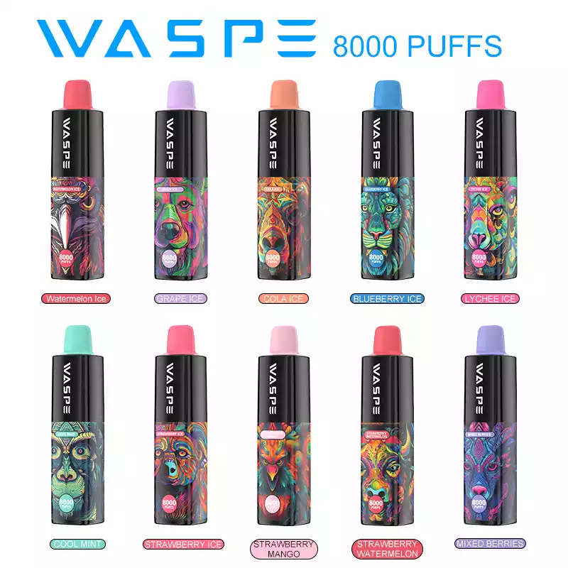 WASPE 8000 Puffs Rechargeable 650mAh Disposable Vape with Mesh Coil and 16ml Capacity