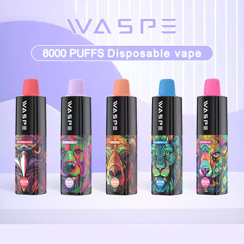 WASPE 8000 Puffs Rechargeable 650mAh Disposable Vape with Mesh Coil and 16ml Capacity (13) WASPE 8000 Puffs Rechargeable 650mAh Disposable Vape with Mesh Coil and 16ml Capacity (13)