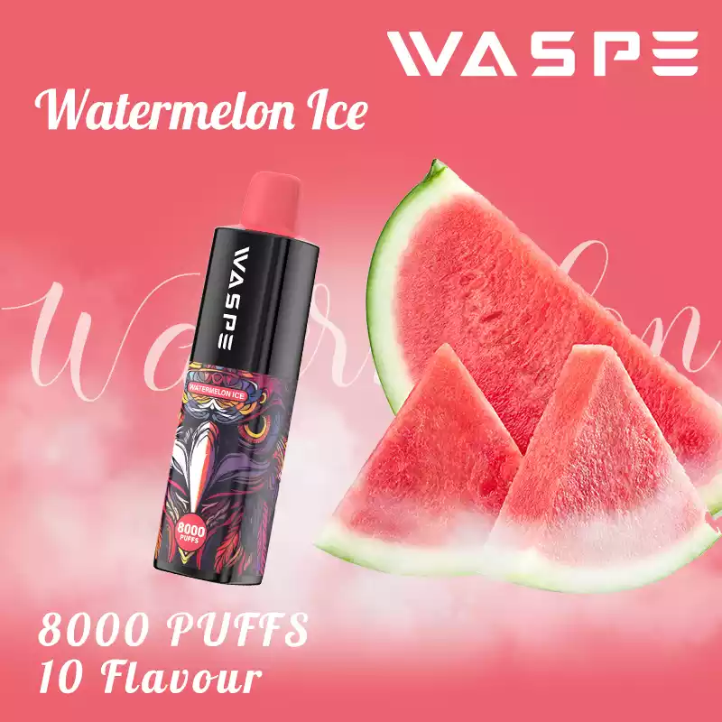 WASPE 8000 Puffs Rechargeable 650mAh Disposable Vape with Mesh Coil and 16ml Capacity (17) WASPE 8000 Puffs Rechargeable 650mAh Disposable Vape with Mesh Coil and 16ml Capacity (17)