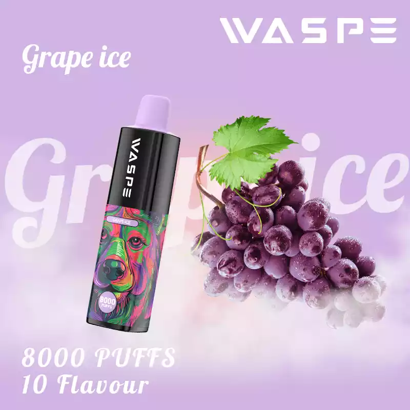 WASPE 8000 Puffs Rechargeable 650mAh Disposable Vape with Mesh Coil and 16ml Capacity (18) WASPE 8000 Puffs Rechargeable 650mAh Disposable Vape with Mesh Coil and 16ml Capacity (18)